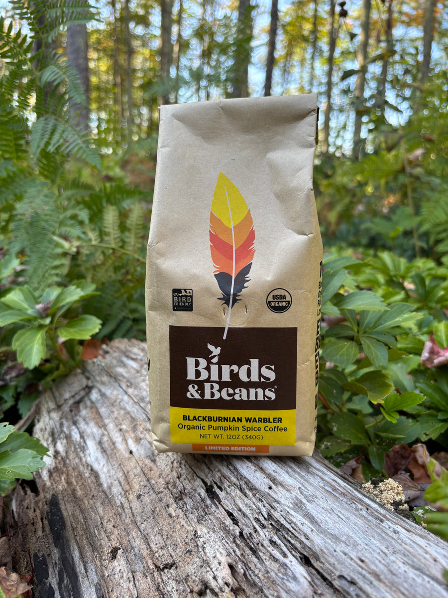 Bird Friendly Organic Pumpkin Spice Roast – Birds & Beans Coffee