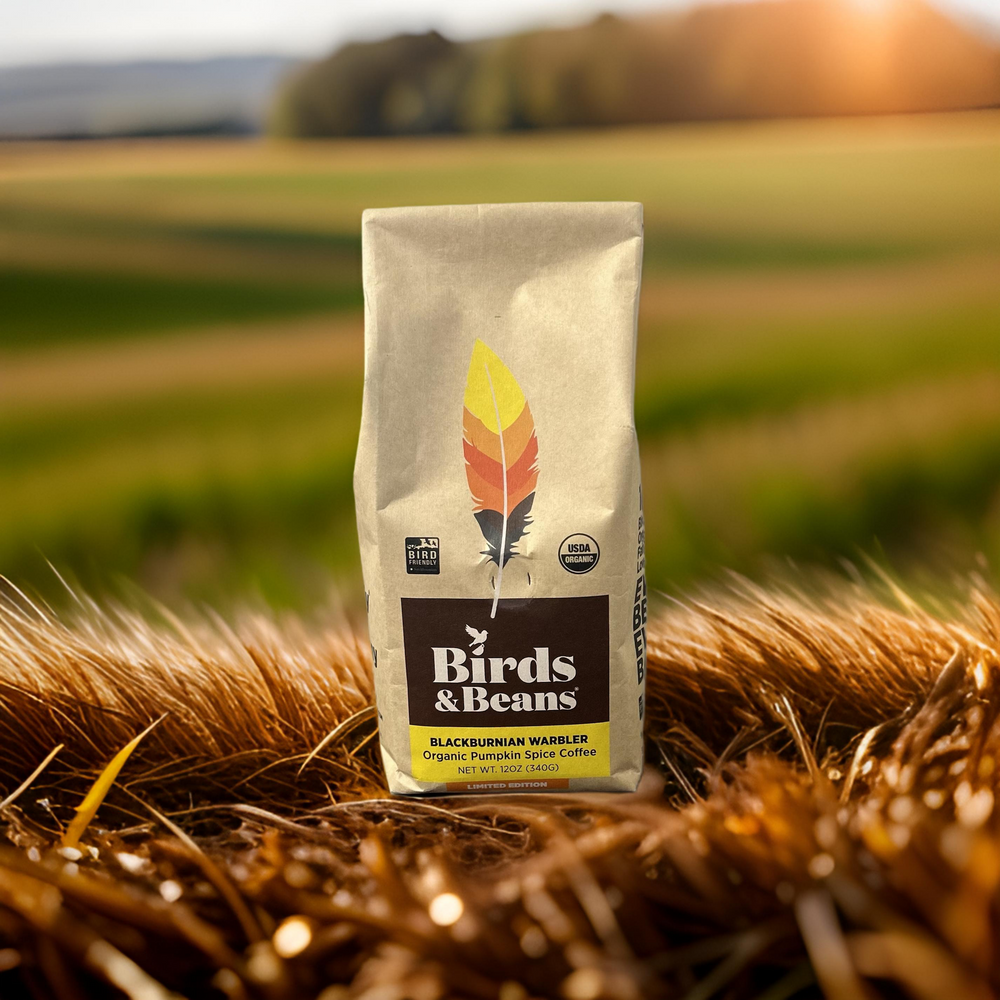 Introducing the Blackburnian Warbler Organic Pumpkin Spice Roast: A Seasonal Favorite for a Bird-Friendly Future